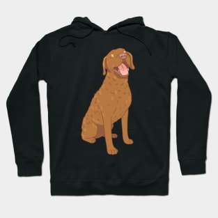 Chesapeake Bay Retriever Hoodie